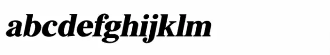 Shree Devanagari 1061 Italic