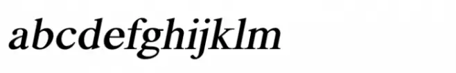 Shree Devanagari 1062 Bold Italic