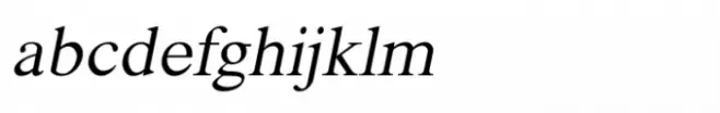 Shree Devanagari 3519 Italic