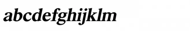 Shree Devanagari 3693 Black Italic