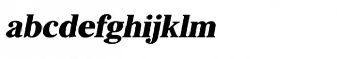Shree Devanagari 4518 Italic