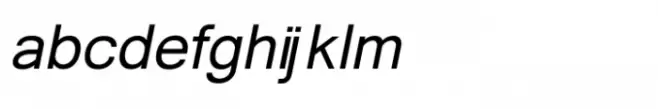Shree Gujarati 1114 Bold Italic