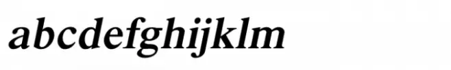 Shree Gujarati 1168 Bold Italic