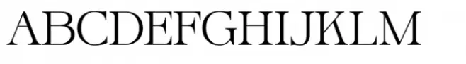 Silent Noise Font Duo Serif Regular