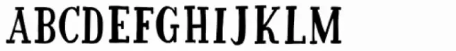 Subtitle Regular