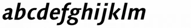 Syntax Next Paneuropean W1G Bold Italic