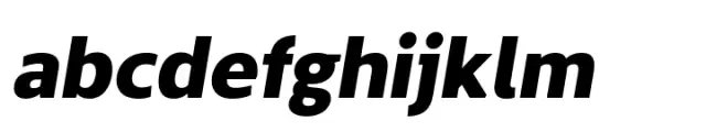 The Main Black Italic