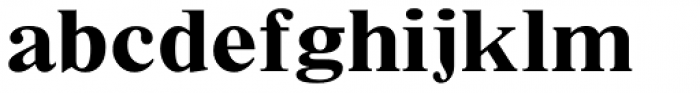 Times New Roman Small Text Std Bold