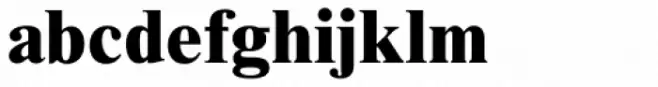 Times New Roman Std ExtraBold