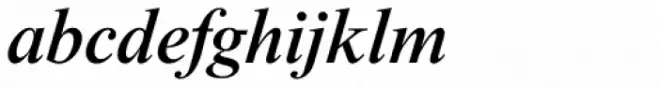 Times New Roman Std Medium Italic