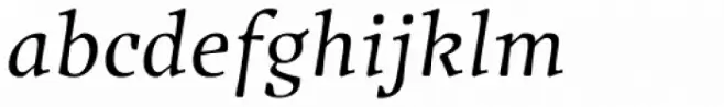 Traction Book Italic