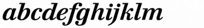 Walbaum 10 XL Pro Bold Italic