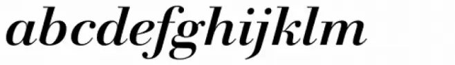 Walbaum 120 Pro Bold Italic