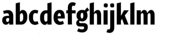 Ye Paradigma Condensed Black