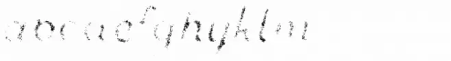 Zing Script Rust Bold Fill Grunge